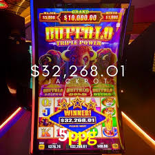 VIP Casino 5ppg